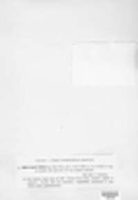 Sphaeropsis sapinea image